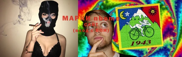 прущие грибы Алексеевка
