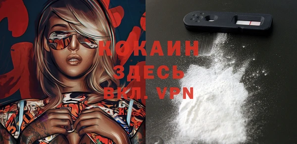 стафф Алзамай